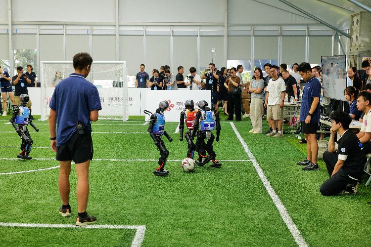 开战, cn, 佛凝固在每 开战, cn, 佛凝固在每