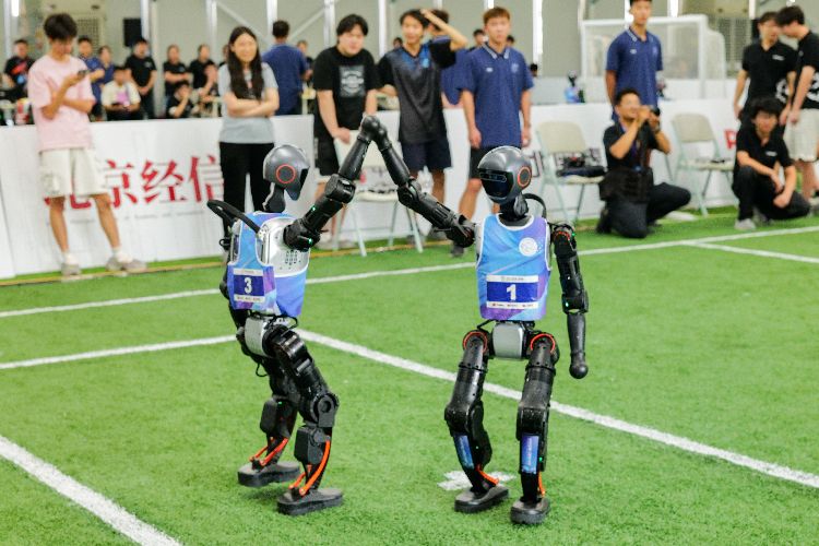 msn, xl战队, tenan msn, xl战队, tenan